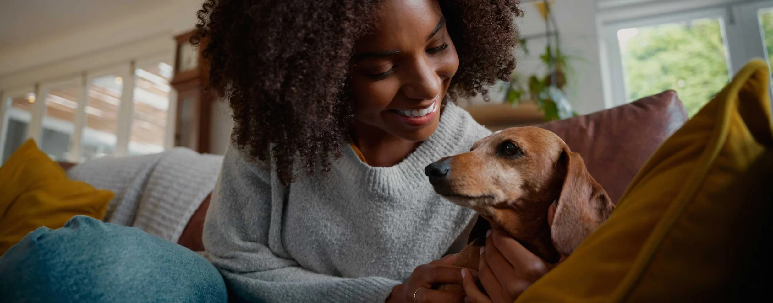 Expert Care for Your Pets